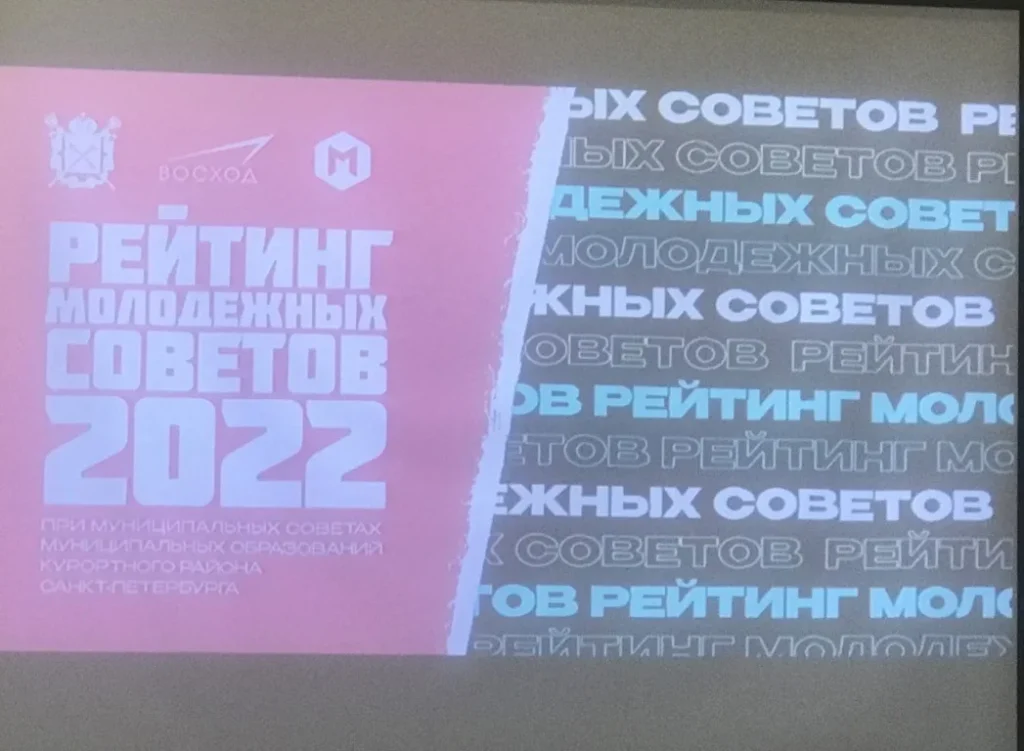 День волонтера (добровольца). Рейтинг Молодежных советов
