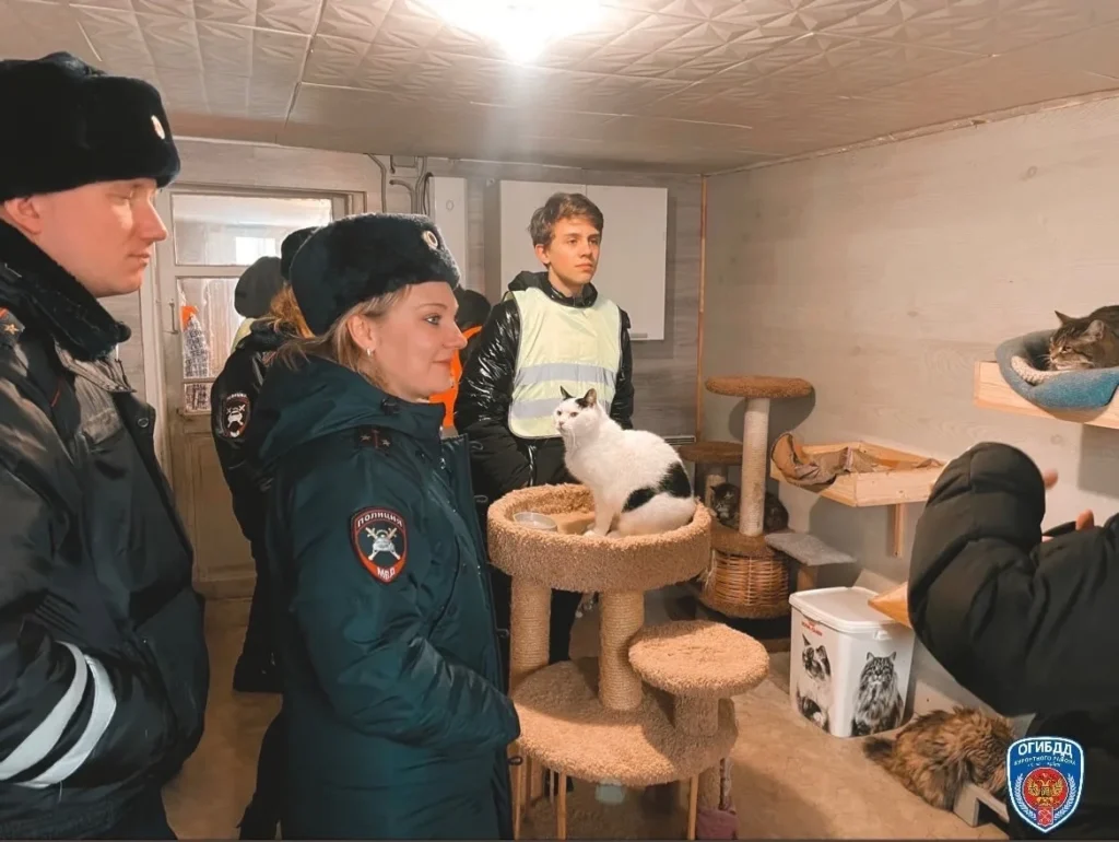 Акция доброты